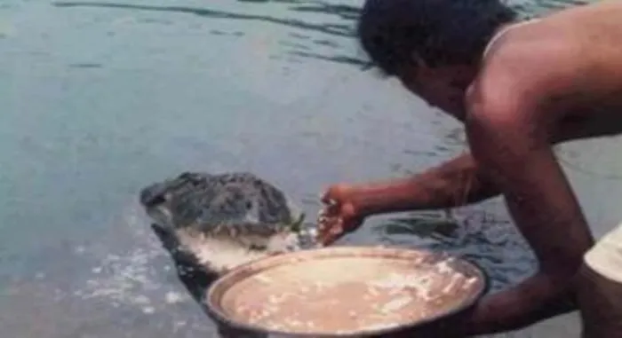 A miraculous temple guarded by a crocodile!.
